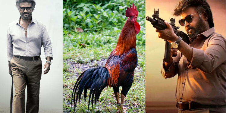 `ಜೈಲರ್’ ಹುಕುಂ ಹಾಡಿಗೆ ಕೋಳಿ ಹುಂಜ ಸ್ಪೂರ್ತಿನಾ?
