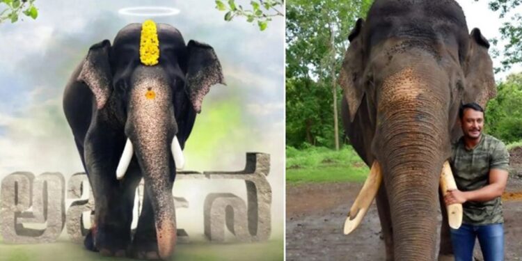Darshan: ನಟ ದರ್ಶನ್‌ ಕಾಡುತ್ತಿದೆ ಅರ್ಜುನನ ಸಾವು – ಆತನಿಗೆ ಸಲ್ಲಬೇಕಾದ ಗೌರವ ಸಲ್ಲಿಸಿ ಎಂದು ಮನವಿ