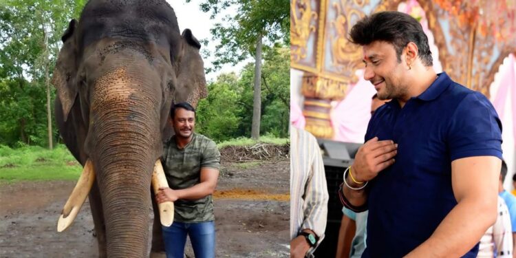 Darshan: ಅರ್ಜುನನ ಹೆಸರಲ್ಲಿ ಇದೆಂತಹ ಮೋಸ- ಚಾಲೆಂಜಿಂಗ್‌ ಸ್ಟಾರ್‌ಗೂ ದೋಖಾ..!