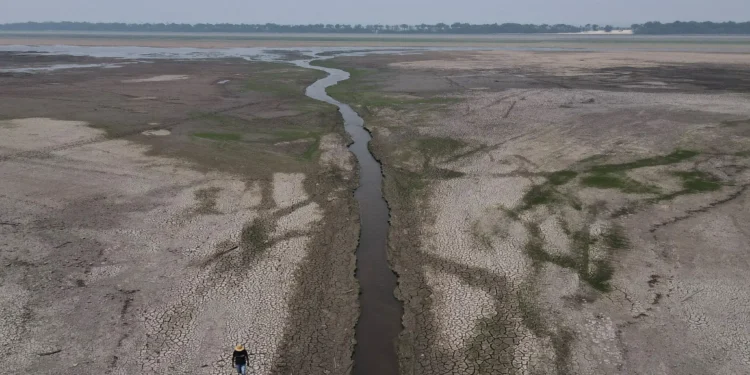 amazon rainforest secrets: ಸಾವಿನ ಸಮೀಪದಲ್ಲಿದೆಯಾ ಜೀವನದಿ ಅಮೆಜಾನ್?