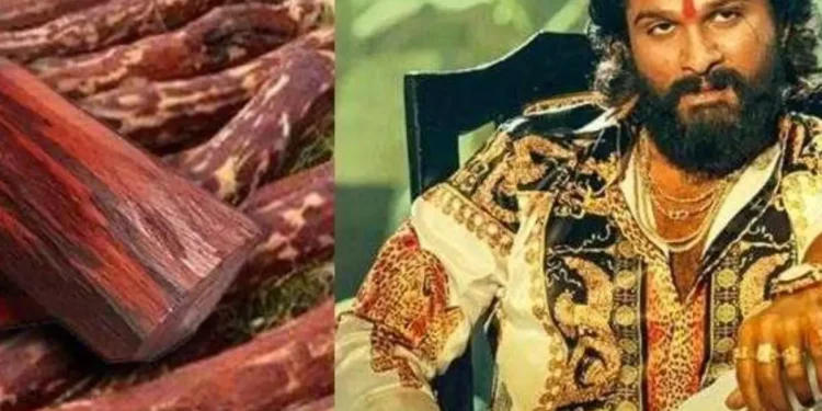 raktha chandan mafia: ರಕ್ತ ಚಂದನಕ್ಕೆ ಯಾಕಿಂಥಾ ಬೇಡಿಕೆ?