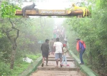 chitradurga jogimatti:  ಕಣ್ಮನ ಸೆಳೆಯುವ ಕರ್ನಾಟಕದ ಊಟಿ ಜೋಗಿಮಟ್ಟಿ!