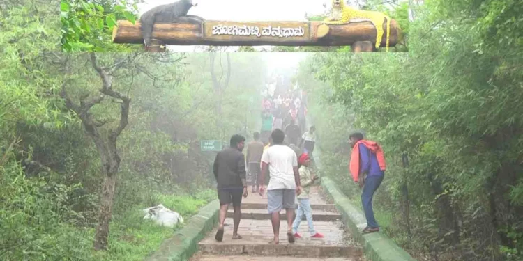 chitradurga jogimatti:  ಕಣ್ಮನ ಸೆಳೆಯುವ ಕರ್ನಾಟಕದ ಊಟಿ ಜೋಗಿಮಟ್ಟಿ!