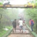 chitradurga jogimatti: ಕಣ್ಮನ ಸೆಳೆಯುವ ಕರ್ನಾಟಕದ ಊಟಿ ಜೋಗಿಮಟ್ಟಿ!