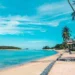 lakshadweep island: ಕೊಟ್ಯಂತರ ಮಂದಿಯ ಕನಸಿನ ಪ್ರವಾಸೀ ತಾಣ ಲಕ್ಷದ್ವೀಪ!