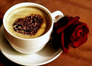 interesting history of coffee: ನಿಮ್ಮಿಷ್ಟದ ಕಾಫಿಯ ಕಂಪ್ಲೀಟ್ ಹಿಸ್ಟರಿ!