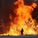 reason for wildfire: ಕಾಡಿಗೆ ಕಂಟಕವಾದ ಕೊಳ್ಳಿದೆವ್ವಗಳು!