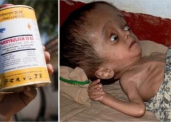 endosulfan effects: ಕಾರ್ಕೋಟಕ ವಿಷದ ಮೇಲೆ ಇದೆಂಥಾ ಕನಿಕರ?