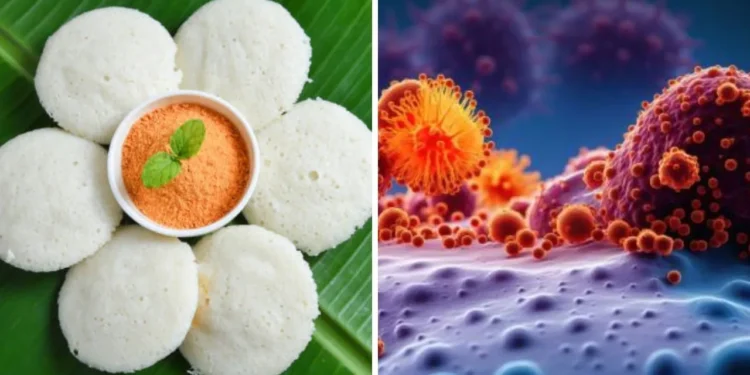 How are idlis linked to cancer: ಇಡ್ಲಿಯಲ್ಲಿ ಅಡಗಿದೆಯೇ ಡೆಡ್ಲಿ ಕ್ಯಾನ್ಸರ್?