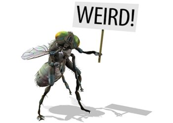 weird facts: ಈ ಸುದ್ದಿ ಓದಿದ್ರೆ ವಿಚಿತ್ರ ಅನ್ಸುತ್ತೆ!