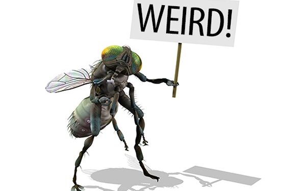 weird facts: ಈ ಸುದ್ದಿ ಓದಿದ್ರೆ ವಿಚಿತ್ರ ಅನ್ಸುತ್ತೆ!