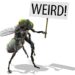 weird facts: ಈ ಸುದ್ದಿ ಓದಿದ್ರೆ ವಿಚಿತ್ರ ಅನ್ಸುತ್ತೆ!