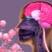 fragrance connected to memory: ಮೂಗಿಗಿದೆ 50 ಸಾವಿರ ಪರಿಮಳ ಗ್ರಹಿಸೋ ಶಕ್ತಿ!