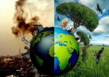 save forest: ಕಾಡು ಉಳಿಸದಿದ್ದರೆ ಕಾಡಲಿವೆ ಭೀಕರ ದಿನಗಳು!