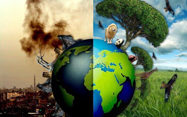 save forest: ಕಾಡು ಉಳಿಸದಿದ್ದರೆ ಕಾಡಲಿವೆ ಭೀಕರ ದಿನಗಳು!